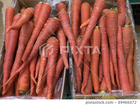 Kintoki carrot sales floor Kintoki carrot sales floor 89466872