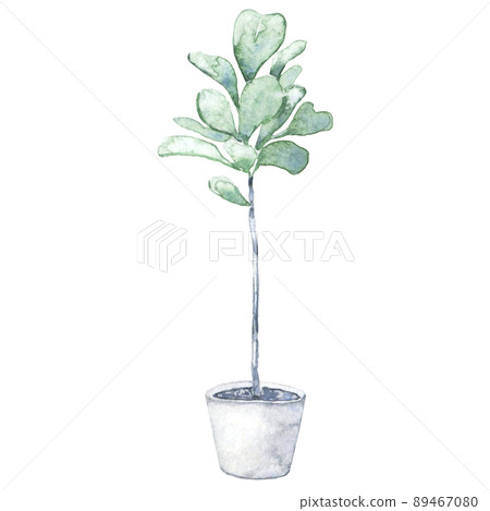 Watercolor home fiddle leaf fig tree in pot 89467080