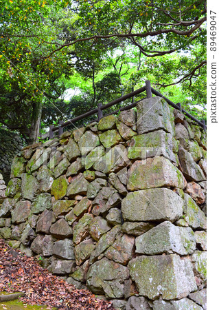 Hamada Castle Continued 100 Fine Castles in Japan 89469047