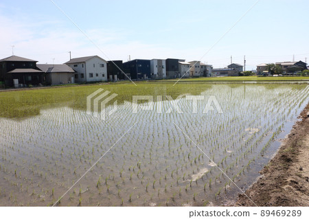 Residential land sale 89469289