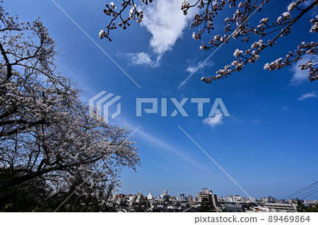 櫻花盛開的金澤風景 櫻花盛開的金澤風景 89469864