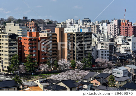 Scenery of Kanazawa where cherry blossoms bloom Scenery of Kanazawa where cherry blossoms bloom 89469870