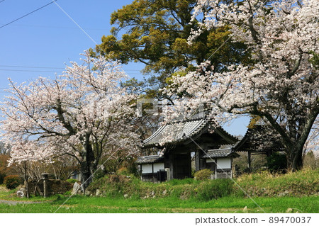 Spring Tamba Kokubunji 89470037
