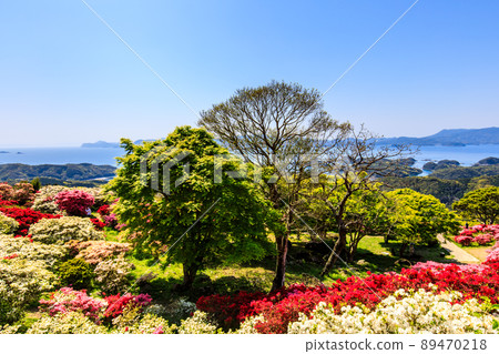 Azaleas in Nagushiyama Park overlooking Kujukushima [Shikamachi-cho, Sasebo City, Nagasaki Prefecture] 89470218