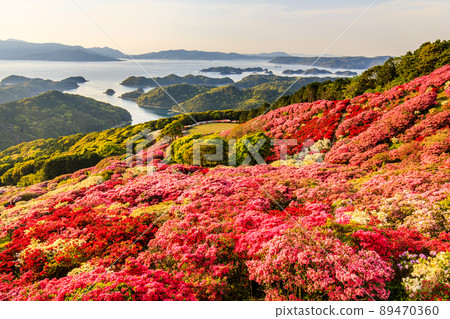 Azaleas and sunsets in Nagushiyama Park overlooking Kujukushima [Shikamachi-cho, Sasebo City, Nagasaki Prefecture] 89470360