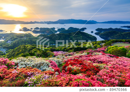 Azaleas and sunsets in Nagushiyama Park overlooking Kujukushima [Shikamachi-cho, Sasebo City, Nagasaki Prefecture] 89470366