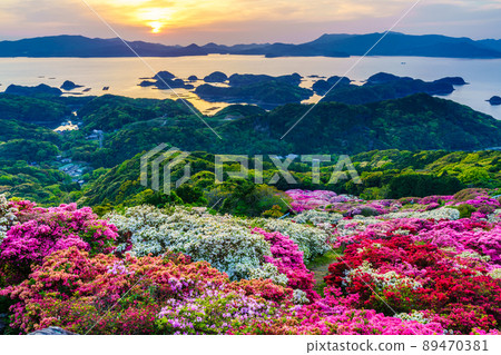 Azaleas and sunsets in Nagushiyama Park overlooking Kujukushima [Shikamachi-cho, Sasebo City, Nagasaki Prefecture] 89470381