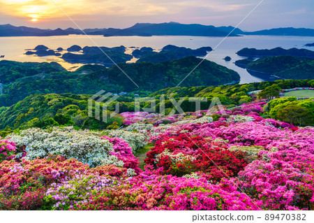 Azaleas and sunsets in Nagushiyama Park overlooking Kujukushima [Shikamachi-cho, Sasebo City, Nagasaki Prefecture] 89470382