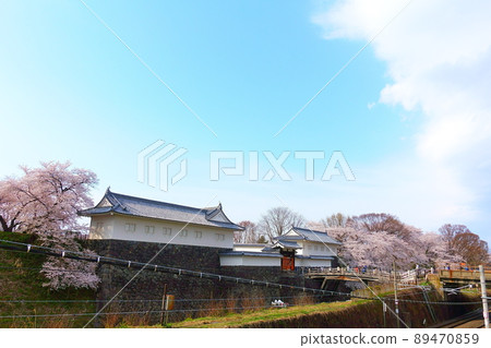 Sakura Sakura Sakura Kajo 公園 Sakura Sakura Sakura Kajo 公園 89470859