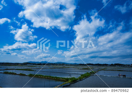 Lotus root field and Mt. Tsukuba 89470982