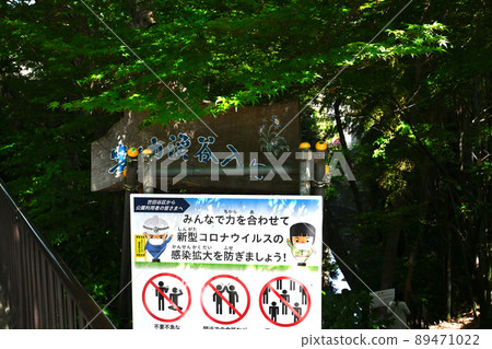 View of Todoroki Ravine 89471022