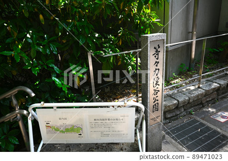 View of Todoroki Ravine 89471023