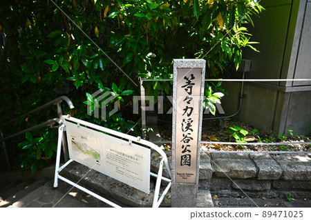 View of Todoroki Ravine 89471025