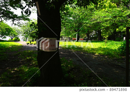 西鄉山公園景觀 西鄉山公園景觀 89471898