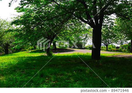 View of Saigoyama Park View of Saigoyama Park 89471946