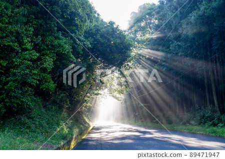 Asahi (light beam) inserted into the mountain road 89471947