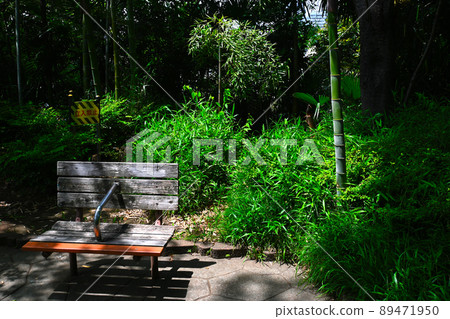 西鄉山公園景觀 西鄉山公園景觀 89471950
