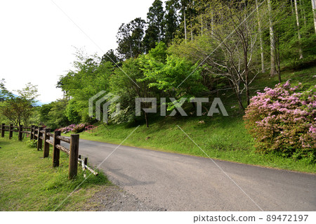 220505 pm 3:54 在高山市民之森(靜岡市) 220505 pm 3:54 在高山市民之森(靜岡市) 89472197