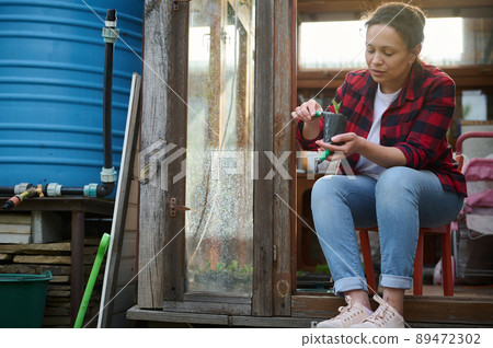 Pretty woman gardener using gardening rake and shovel loosens and digs the black soil with a sprout, sitting at the entry of her old wooden greenhouse 89472302