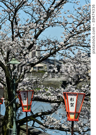 Kazuemachi Chaya district where cherry blossoms bloom 89474336
