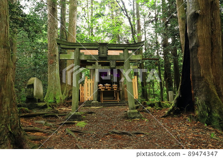 Dense shrine Dense shrine 89474347