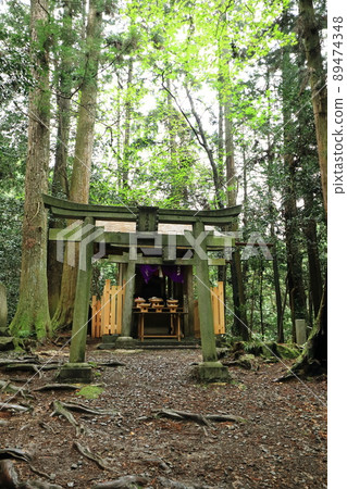 Shuzuka Daimyojin Shuzuka Daimyojin 89474348