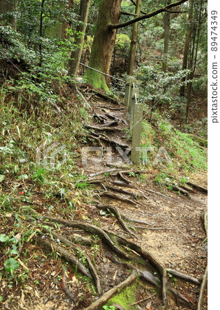 Kubizukadaimyojin approach Kubizukadaimyojin approach 89474349