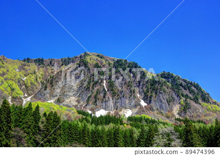 Fresh green cloth rock with snow 89474396