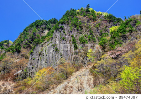 Fresh green cloth rock with snow Fresh green cloth rock with snow 89474397