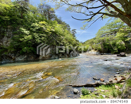 一條清澈的小溪流過新鮮的綠色 89474549