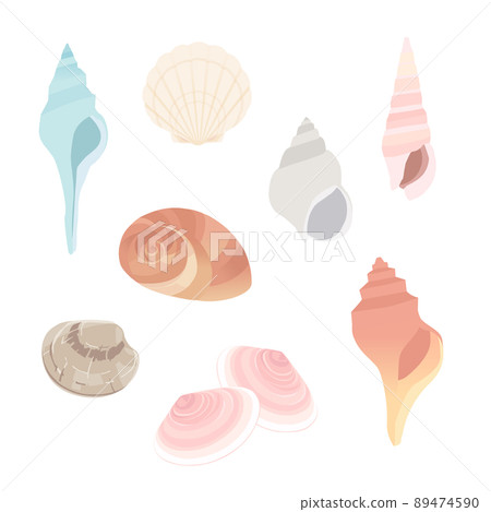 Various seashells 89474590