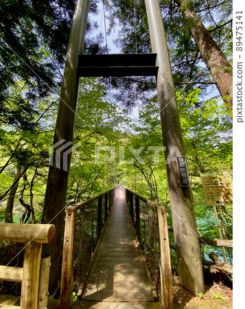 Fresh green retrospective suspension bridge Fresh green retrospective suspension bridge 89475141