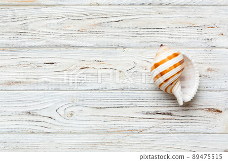 Summer time concept Flat lay composition with beautiful starfish and sea shells on colored table, top view with copy space for text 89475515