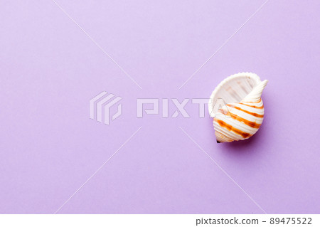 Summer time concept Flat lay composition with beautiful starfish and sea shells on colored table, top view with copy space for text Summer time concept Flat lay composition with beautiful starfish and sea shells on colored table, top view with copy space for text 89475522