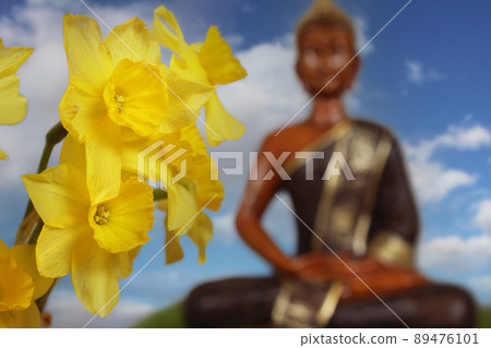 Yellow Daffodils With Buddha Statue in Background Yellow Daffodils With Buddha Statue in Background 89476101