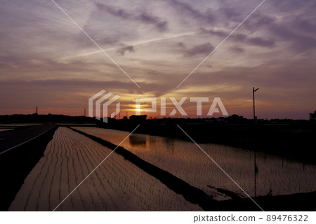 稻田的夕陽(茨城縣筑波市) 稻田的夕陽(茨城縣筑波市) 89476322