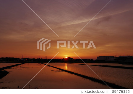 Sunset in paddy fields (Tsukuba City, Ibaraki Prefecture) Sunset in paddy fields (Tsukuba City, Ibaraki Prefecture) 89476335