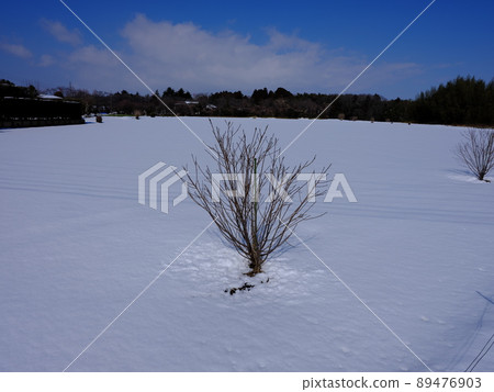Inzai landscape 89476903