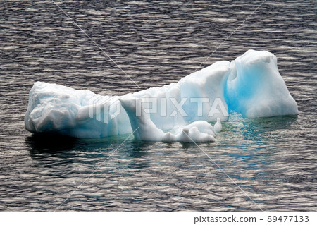 Antarctica - Pieces Of Floating Ice - Global Warming 89477133