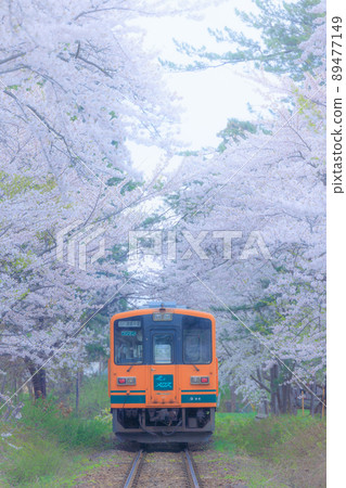 Sakura and Tsugaru Railway Sakura and Tsugaru Railway 89477149