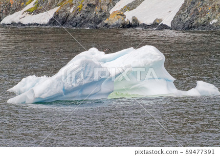Antarctica - Non Tabular Iceberg - Global warming 89477391