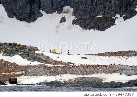 Antarctica - Colony Of Penguins In Natural Habitat Antarctica - Colony Of Penguins In Natural Habitat 89477397