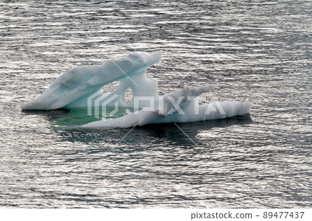 Antarctica - Non Tabular Iceberg - Global warming 89477437