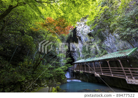 Entrance of Akiyoshido, Yamaguchi Prefecture Entrance of Akiyoshido, Yamaguchi Prefecture 89477522