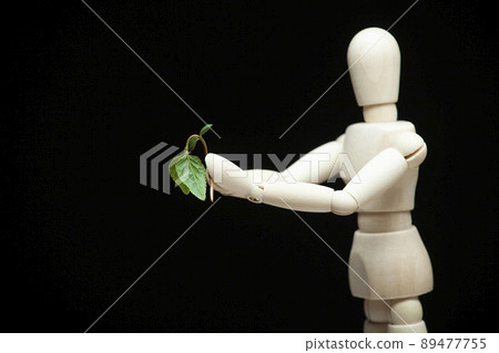 image of wooden figure plant dark background  89477755