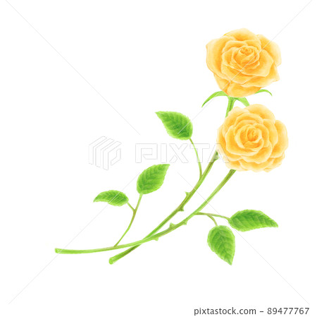 黃玫瑰兩輪車架 89477767