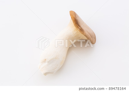 King trumpet white background 89478164