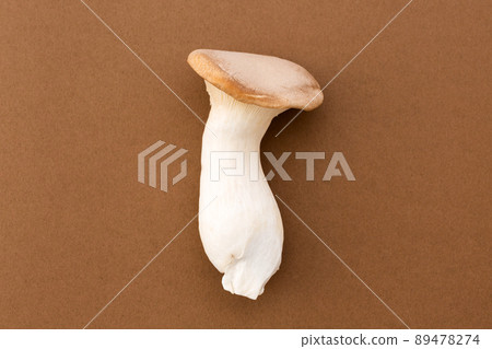 王小號棕背 89478274