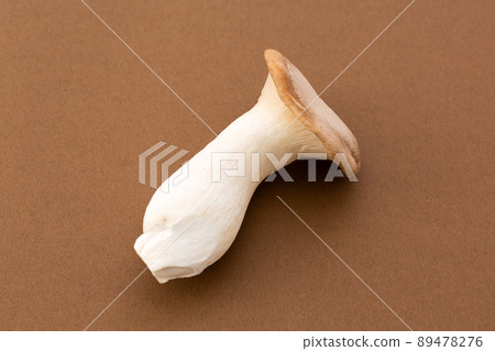 王小號棕背 王小號棕背 89478276