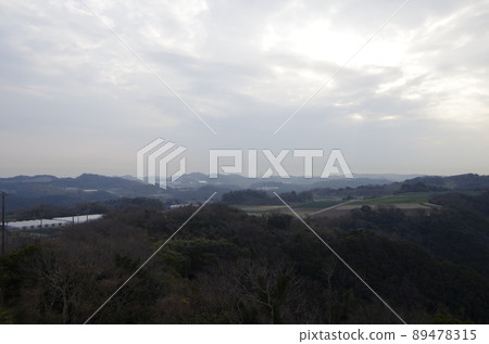 愛知縣南知多町櫻花公園 愛知縣南知多町櫻花公園 89478315